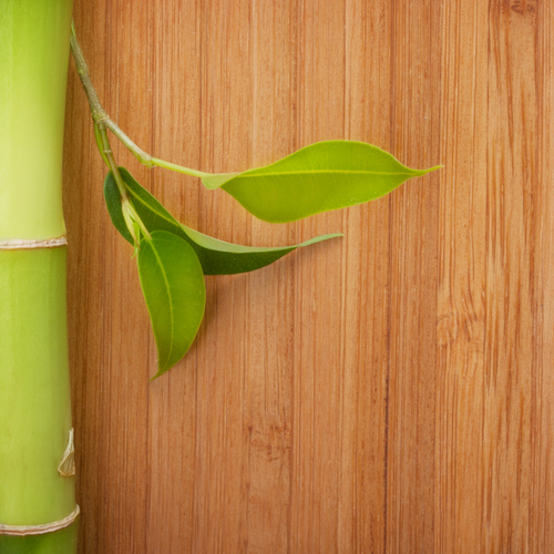 Bamboo hardwood flooring | Hardwood Flooring Products